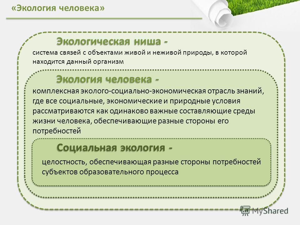 Презентация на тему: "ПРОЕКТ ПРОГРАММЫ РАЗВИТИЯ "Экология человека" Создание соц