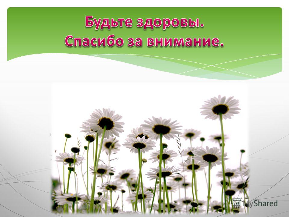 Праздники года википедия