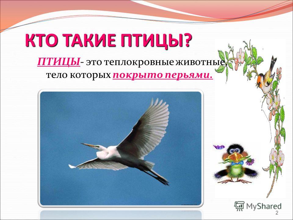 Презентация по окружающему миру 3 класс птицы и звери