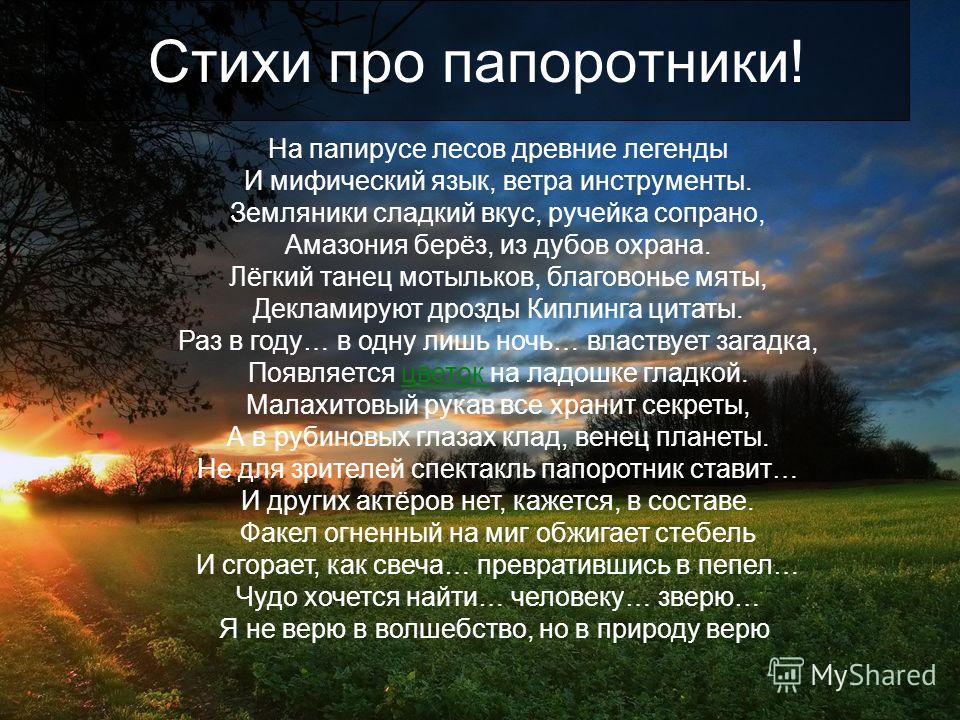Красивые короткие стихи скучаю по тебе любимой девушке Красивые картинки С Днем Рождения Наташа (35 фото) Прикольные картинки