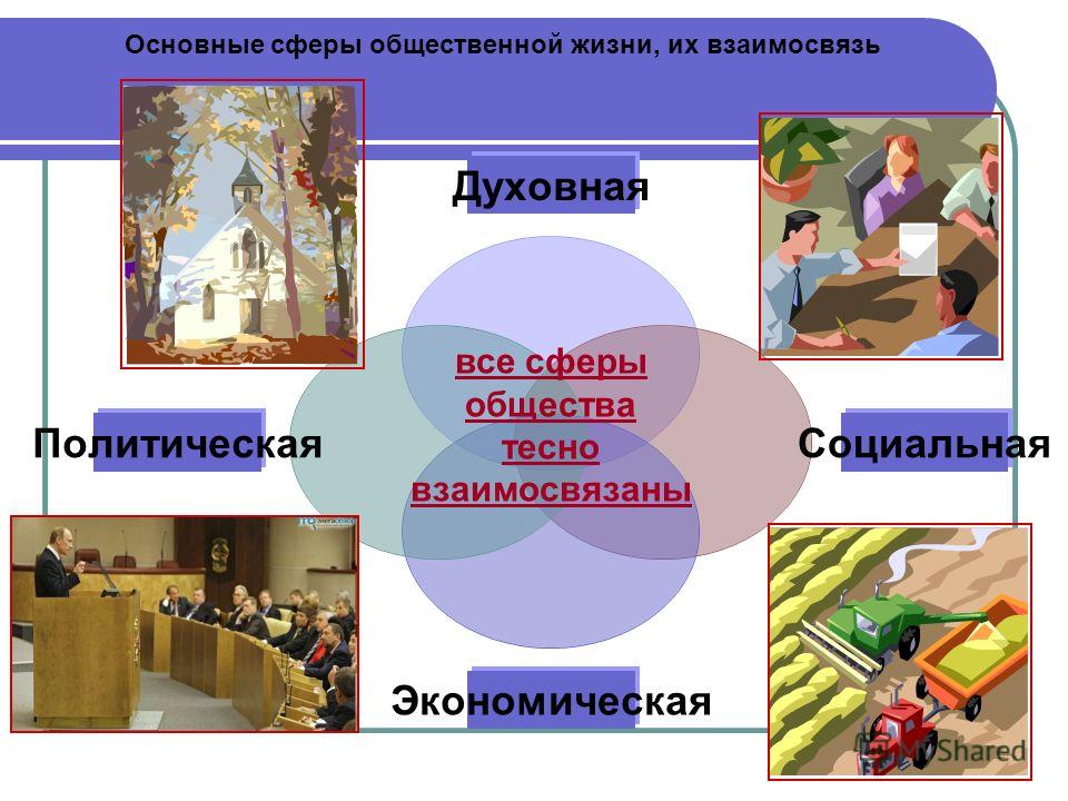 Как связана политическая жизнь и семья Как связана политическая жизнь и семья