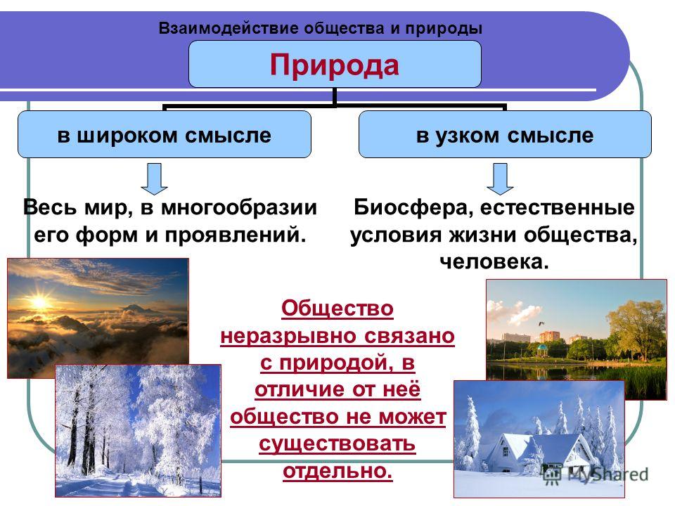 В чем состоят отношения природы и общества В чем состоят отношения природы и общества