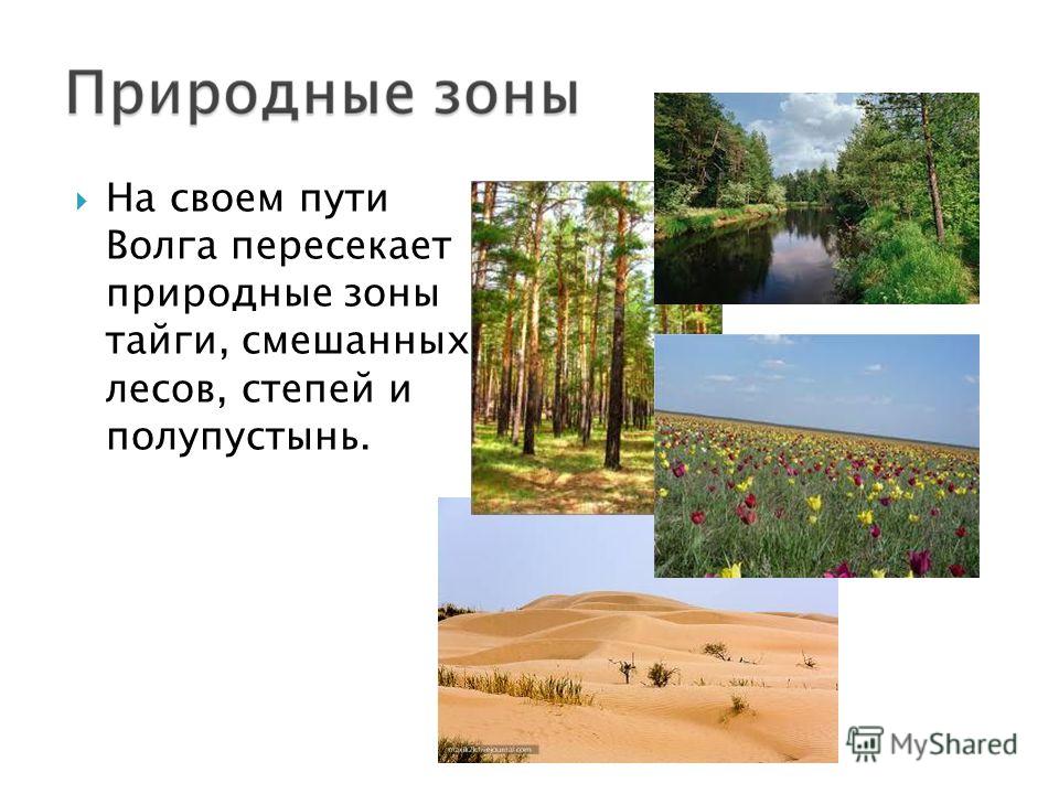 На своем пути Волга пересекает природные зоны тайги, смешанных лесов, степей и полупустынь.