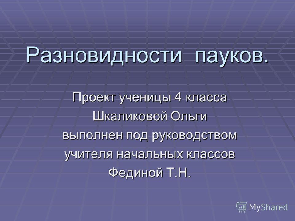 Презентация на тему "Разнообразие животного мира" 3 класс