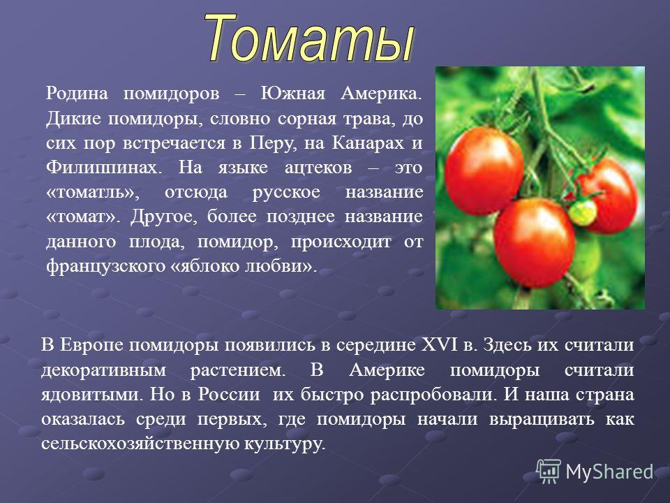 Мини-машинка для шитья Мини-машинка для шитья