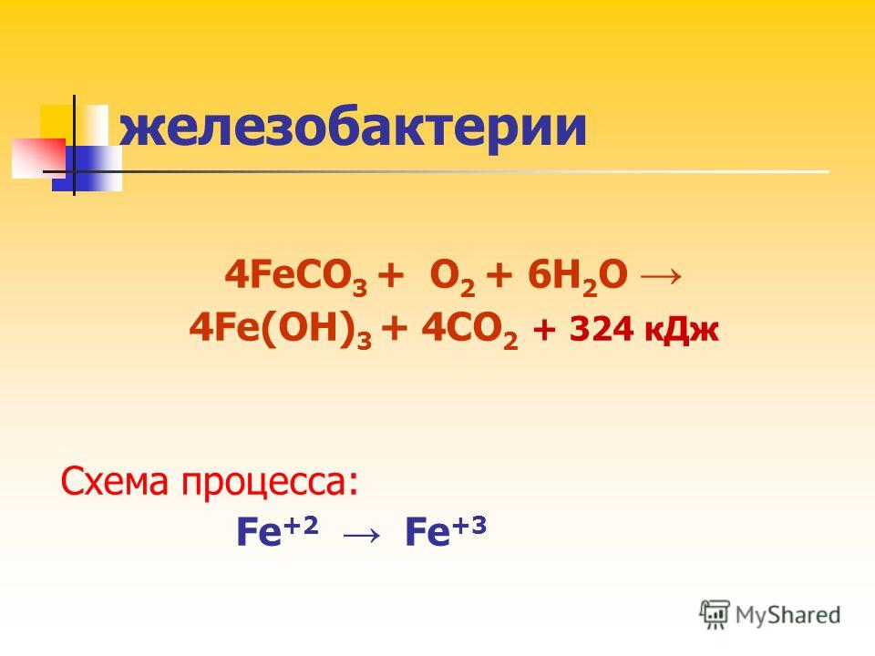 железобактерии 4FeCO 3 + O 2 + 6H 2 O 4Fe(OН) 3 + 4CO 2 + 324 кДж Схема процесса: Fe +2 Fe +3