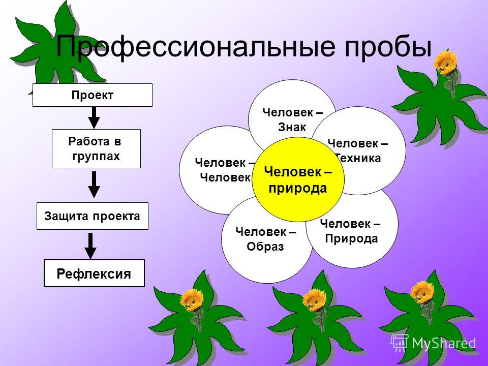 Профессии связанные с человеком человек Профессии связанные с человеком человек
