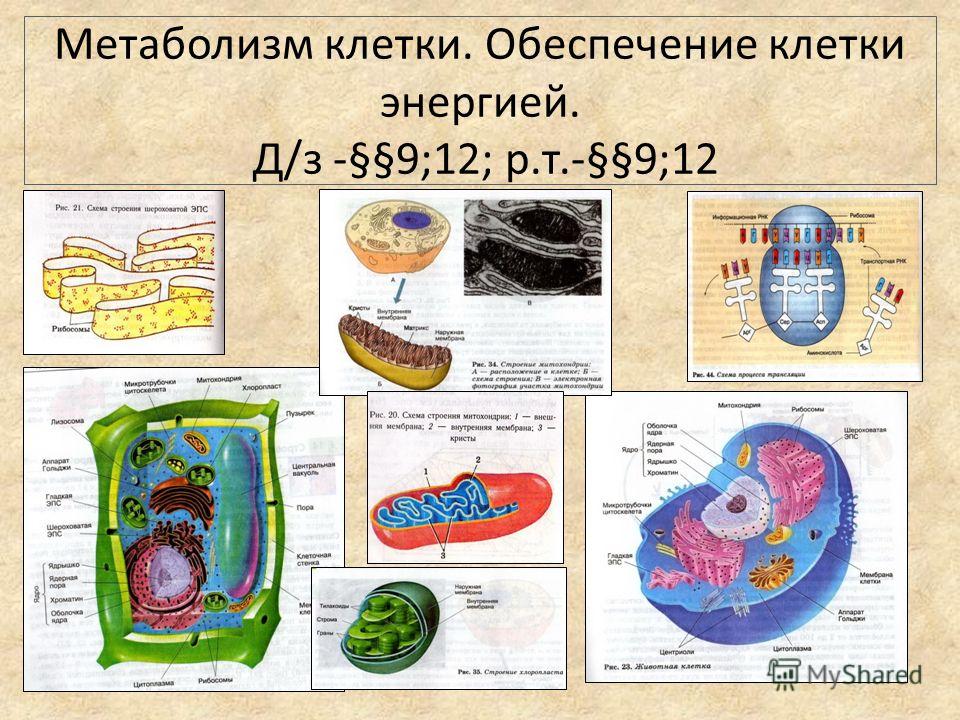 Поздравления брату на свадьбу от двоюродной сестры трогательные Поздравления брату на свадьбу от двоюродной сестры трогательные