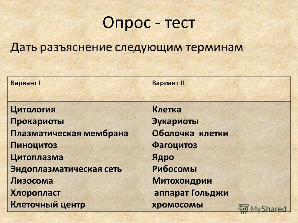 Тест по теме: прокариоты 10 класс