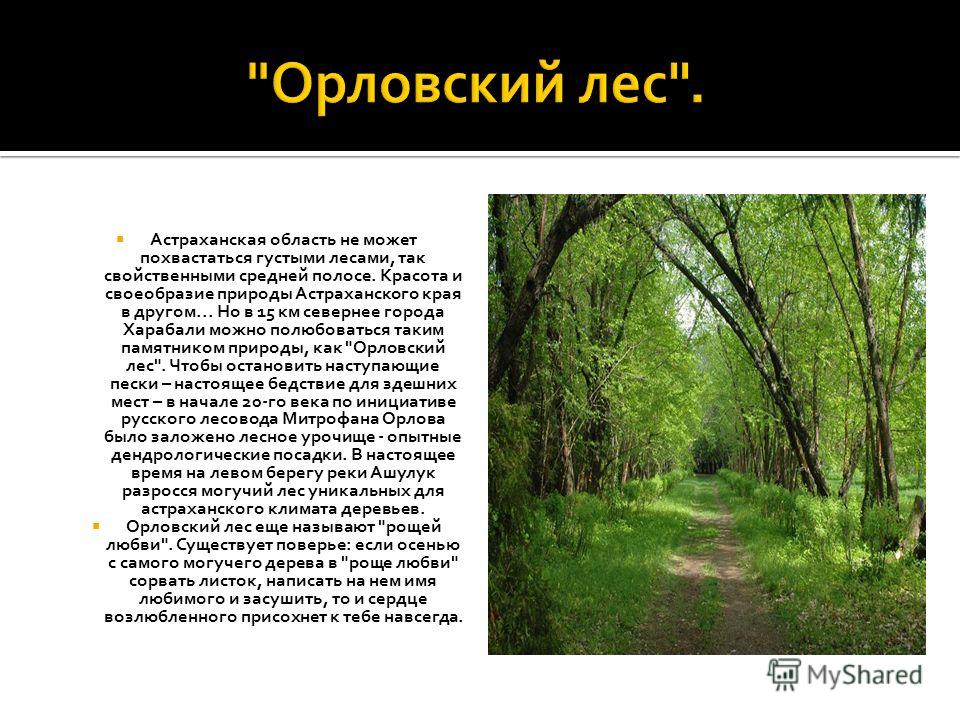 Природа Астраханского края - презентация онлайн