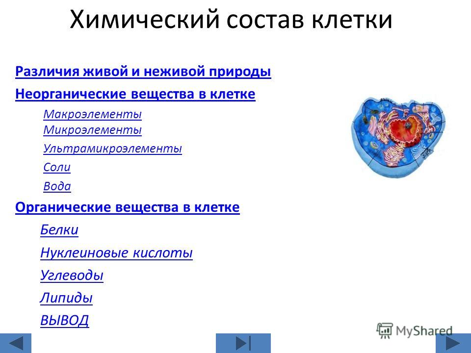 Конспект урока по биологии 9 класс по теме неорганические вещества входящие в состав клетки