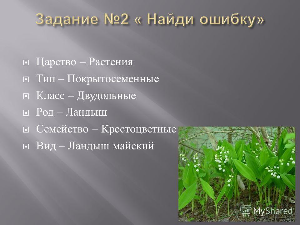 Ландыш Майский царство