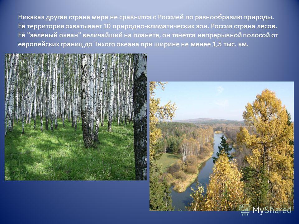 Никакая другая страна мира не сравнится с Россией по разнообразию природы. Её территория охватывает 10 природно-климатических зон. Россия страна лесов. Её 