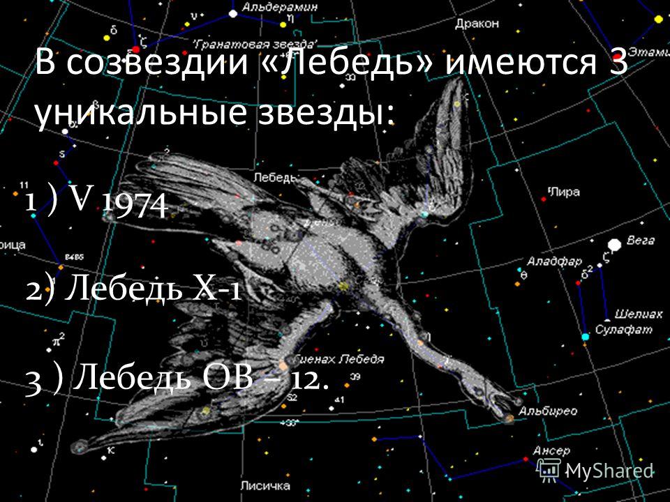 1 ) V 1974 2) Лебедь X-1 3 ) Лебедь OB – 12. В созвездии «Лебедь» имеются 3 уникальные звезды: