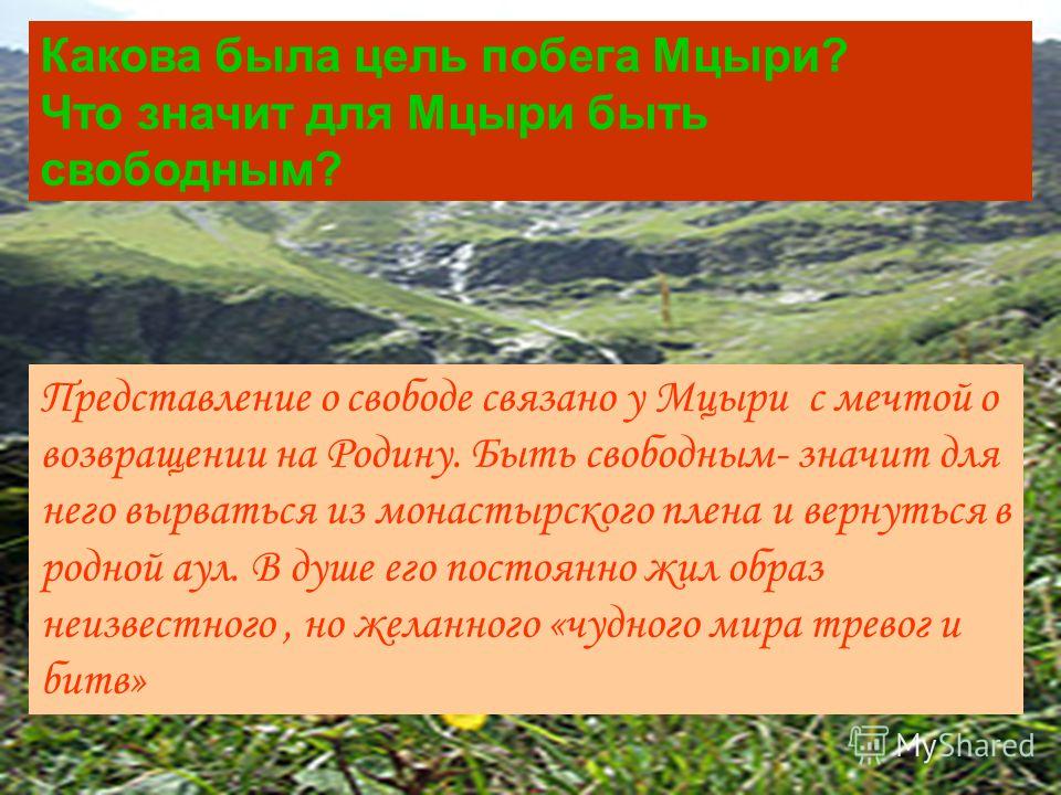 Почему оказалась неосуществимой мечта мцыри достичь родину Почему оказалась неосуществимой мечта мцыри достичь родину