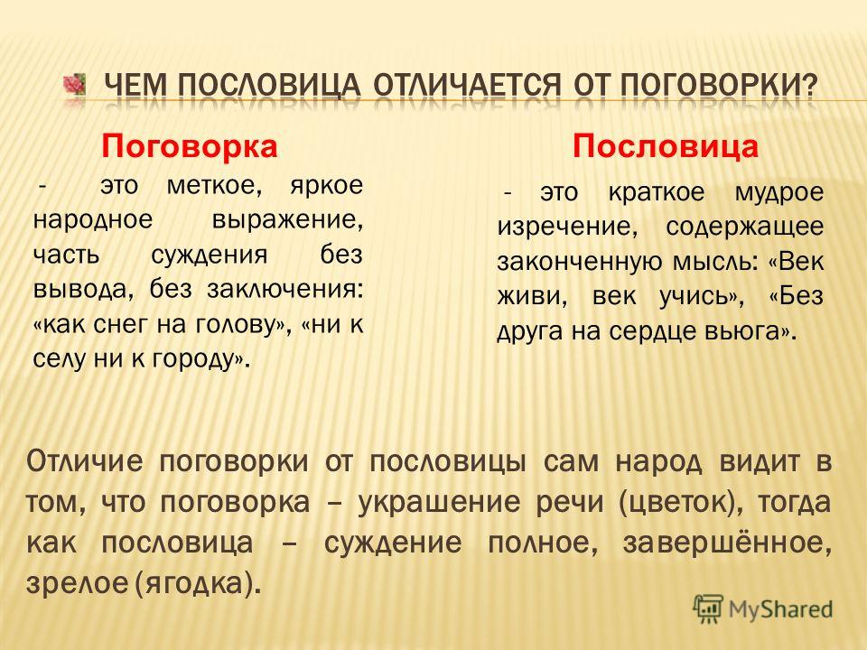 Детские товары все для детей и для их родителей Гортензия Бобо (метельчатая посадка и уход, описание)