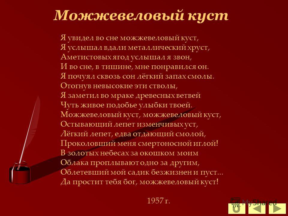Стих заболоцкого можжевеловый куст Стих заболоцкого можжевеловый куст