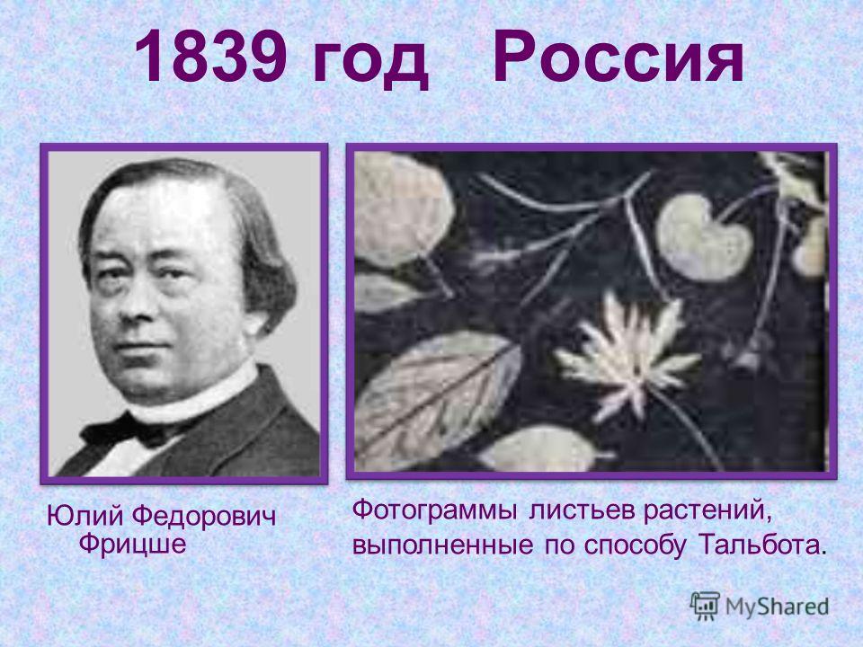 1839 год Россия Юлий Федорович Фрицше Фотограммы листьев растений, выполненные по способу Тальбота.