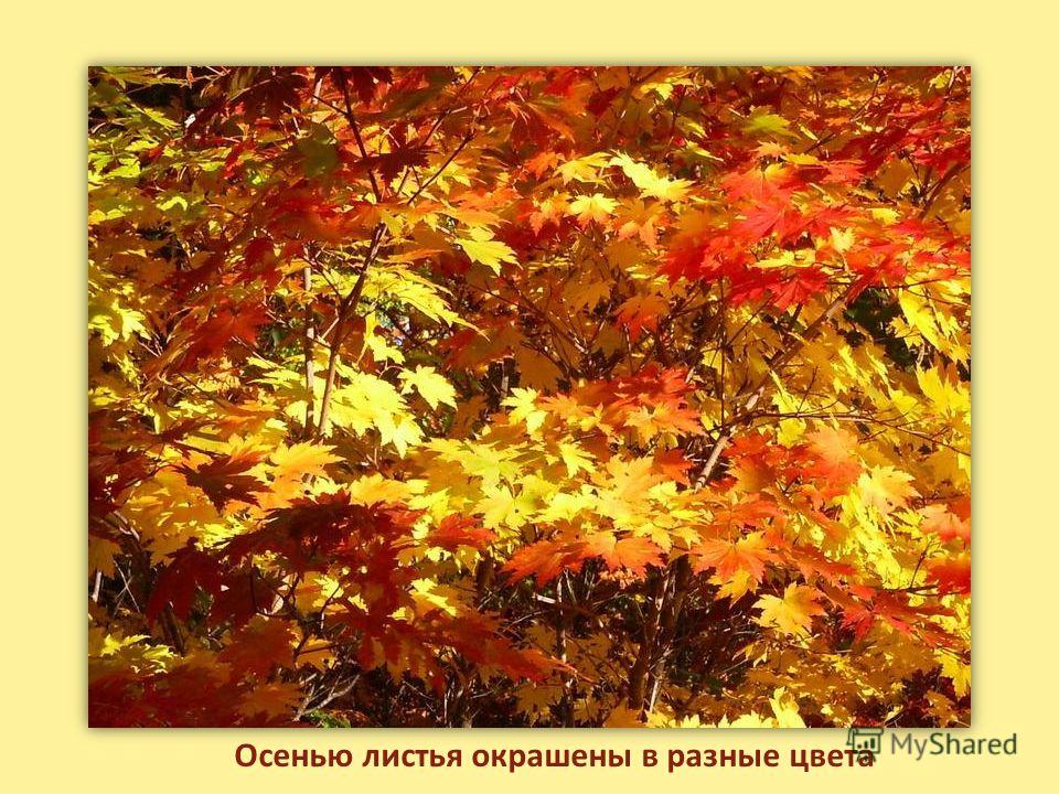 Картинки волшебница осень пришла Картинки волшебница осень пришла