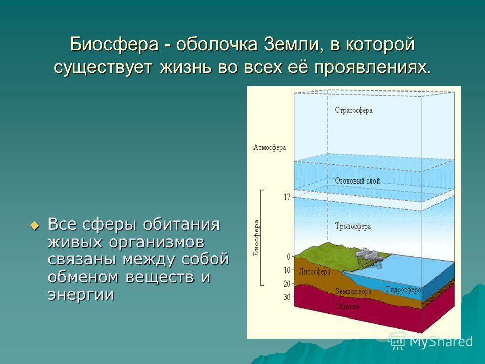Все оболочки земли связаны между собой Все оболочки земли связаны между собой