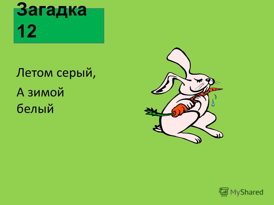 Когда сажать чеснок на зиму