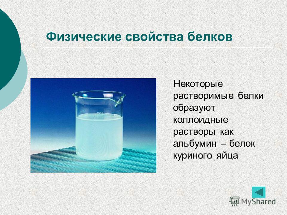 Коллоидные свойства белков биохимия с примерами схем