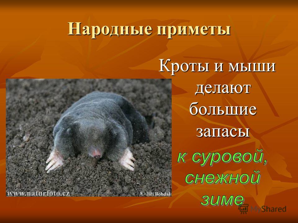 Мама не понимает мои чувства Магазины мужской одежды в Набережных Челнах, узнать