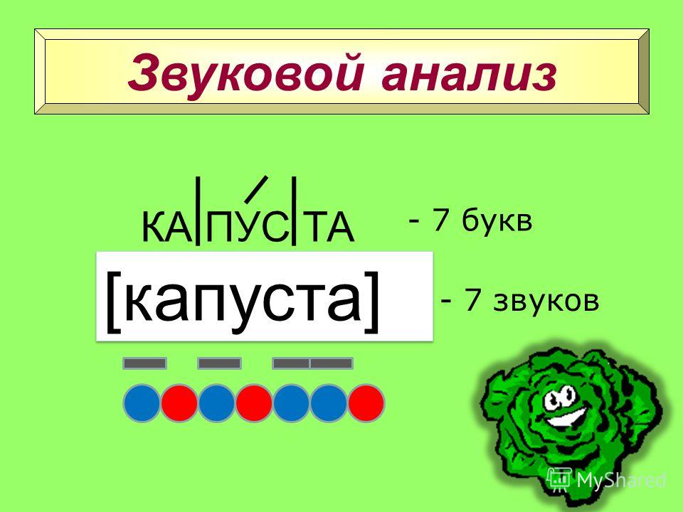 Звуковая схема слова капуста