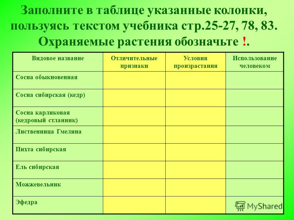 Строение ствола голосеменных растений 7 класс таблица