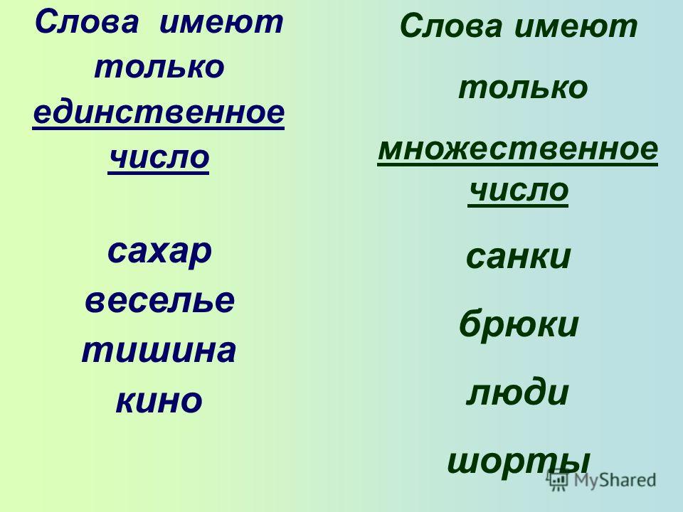 Брюки Число Множественное