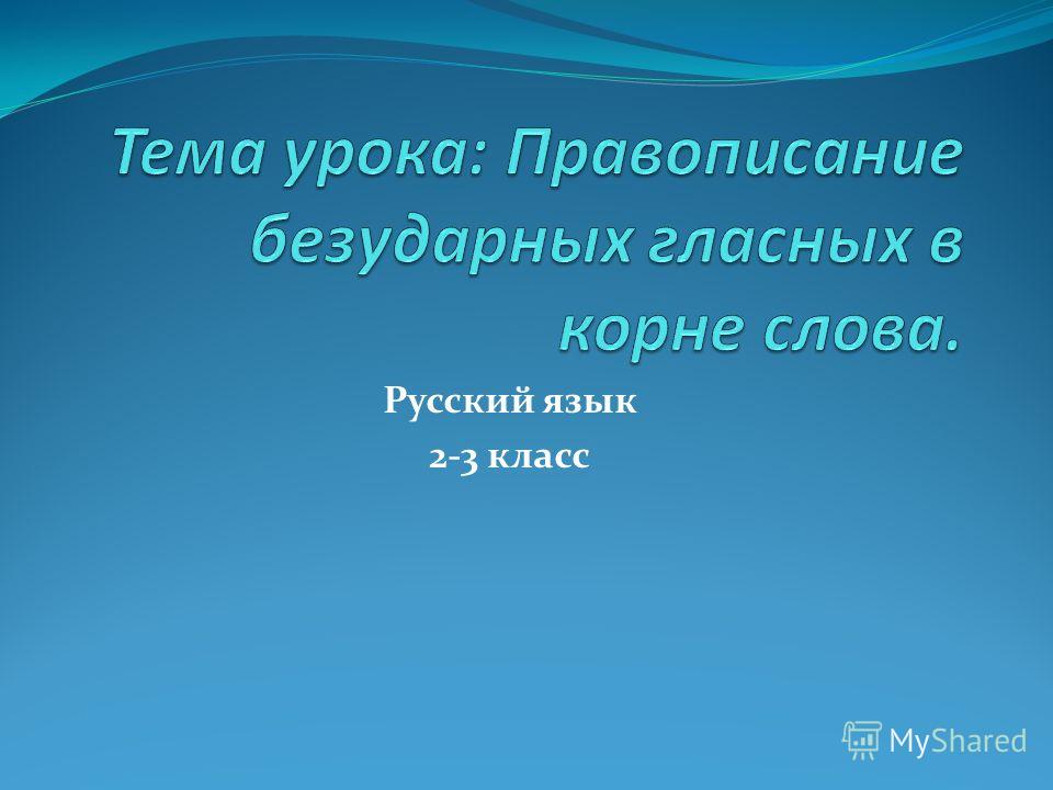 Русский язык 2-3 класс