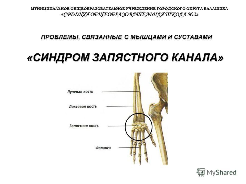 Болезни связанные с мышцами Болезни связанные с мышцами