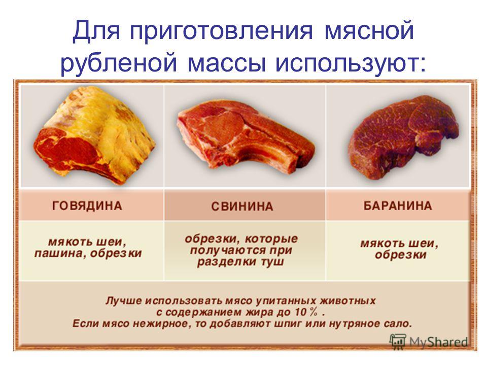 Реферат: Блюда из натуральной рубленой массы