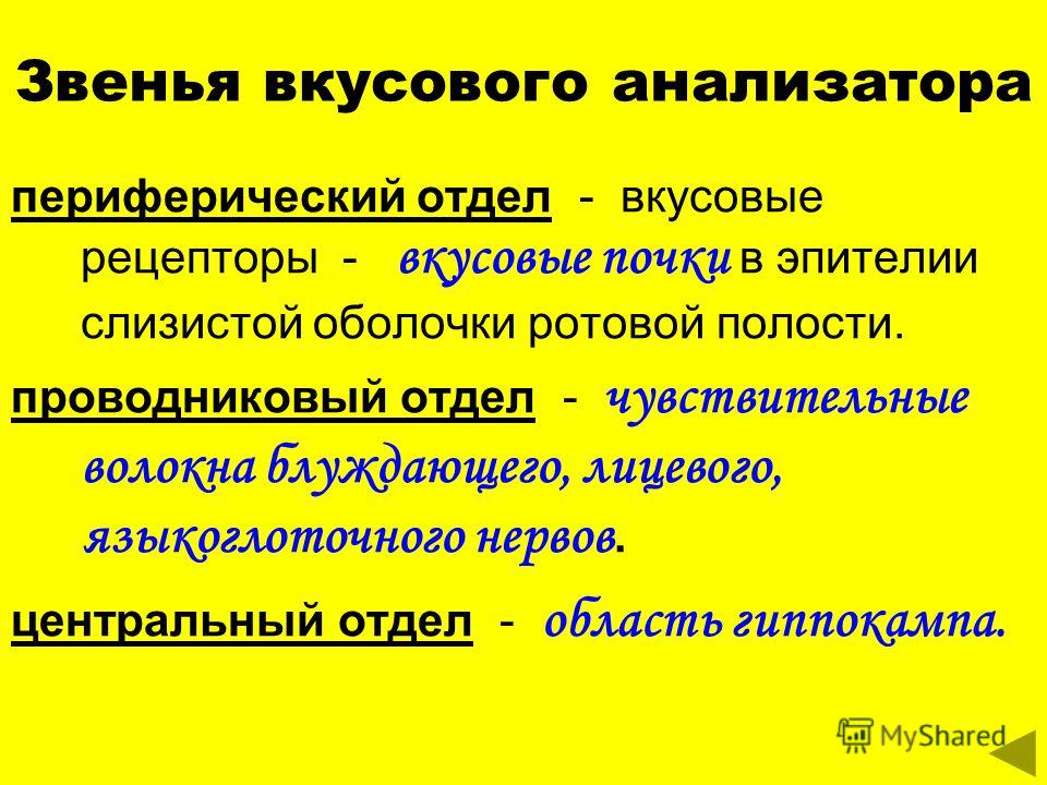 Сосочки вкусового анализатора: найдено 87 изображений