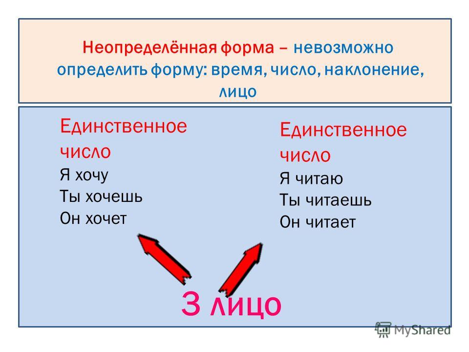 Ловить 2 лицо единственное число Ловить 2 лицо единственное число