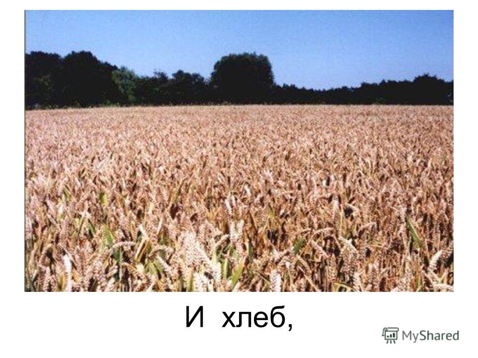 Природа это дом в котором день за днем Природа это дом в котором день за днем