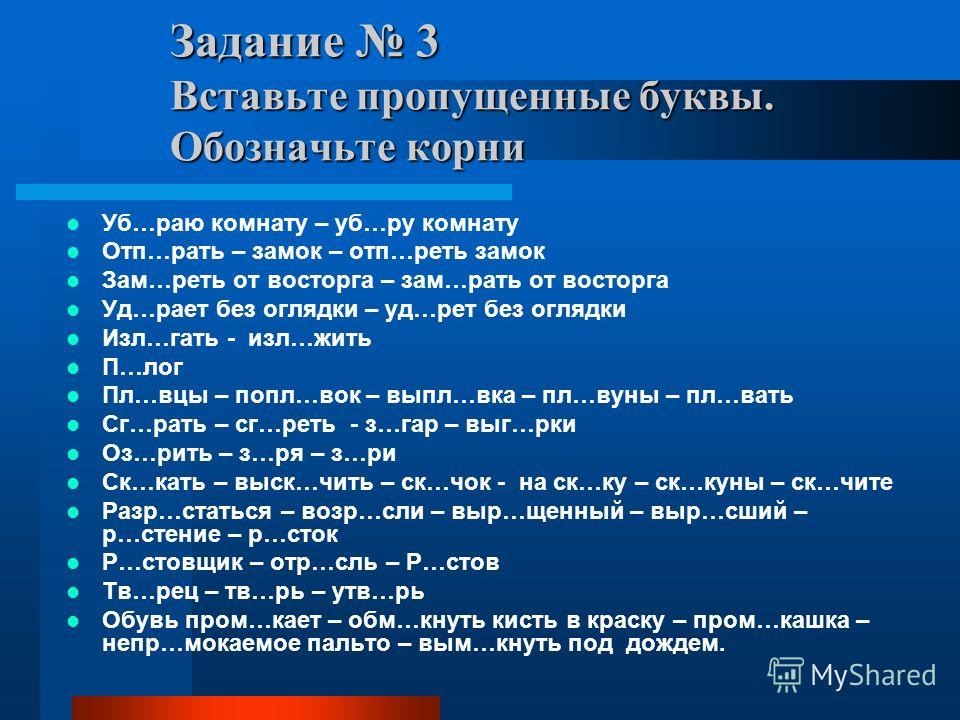 Пособие по русскому языку Чешко