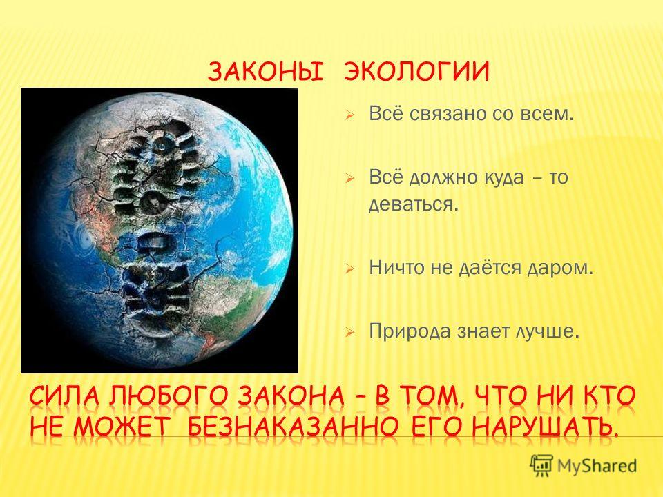 Все связано со всем автор Все связано со всем автор