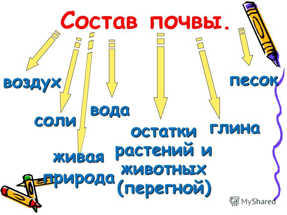 Почва проект 3 класс