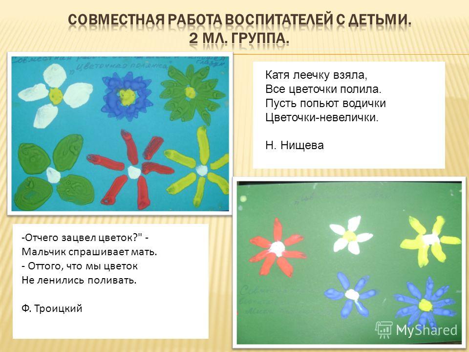 Космея махровая: выращивание из семян, когда можно сажать, видео Ромашка крупная (ромашка гигантская). Нивяник. Посадка