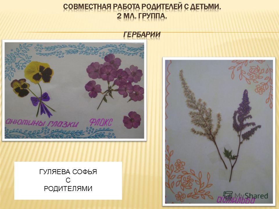 Если сделать так как срезать все кудряшки Если сделать так как срезать все кудряшки