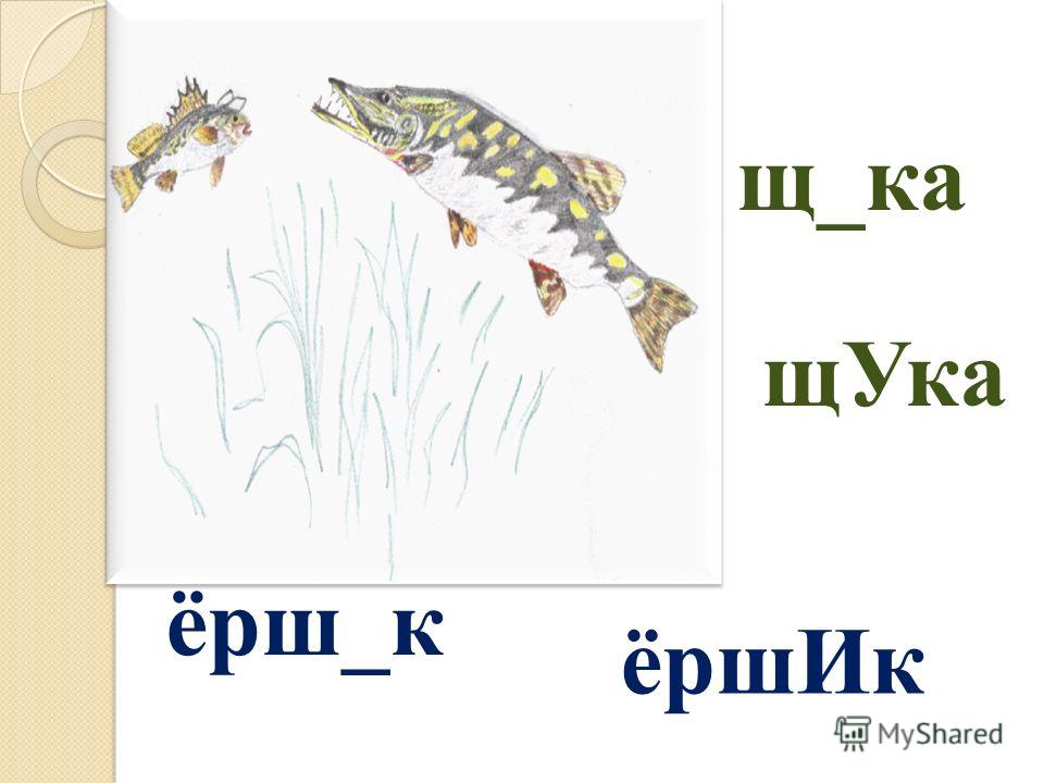 Ерш звуковая схема 1 класс
