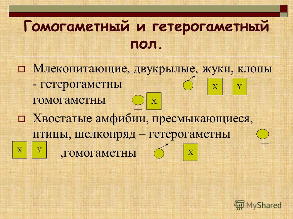 Работа над типичными ошибками при подготовке к ЕГЭ