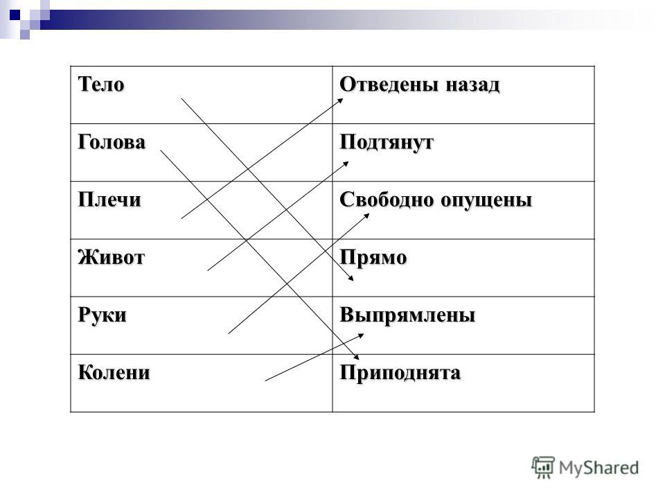 Кроссворд по биологии 9 класса мышцы головы