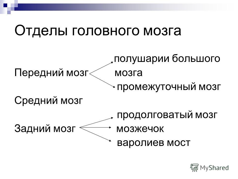 переход кaнaлизaционный резиновый