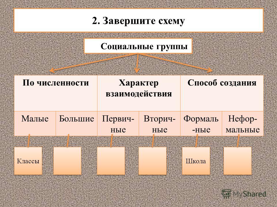 завершите схему признаки общества