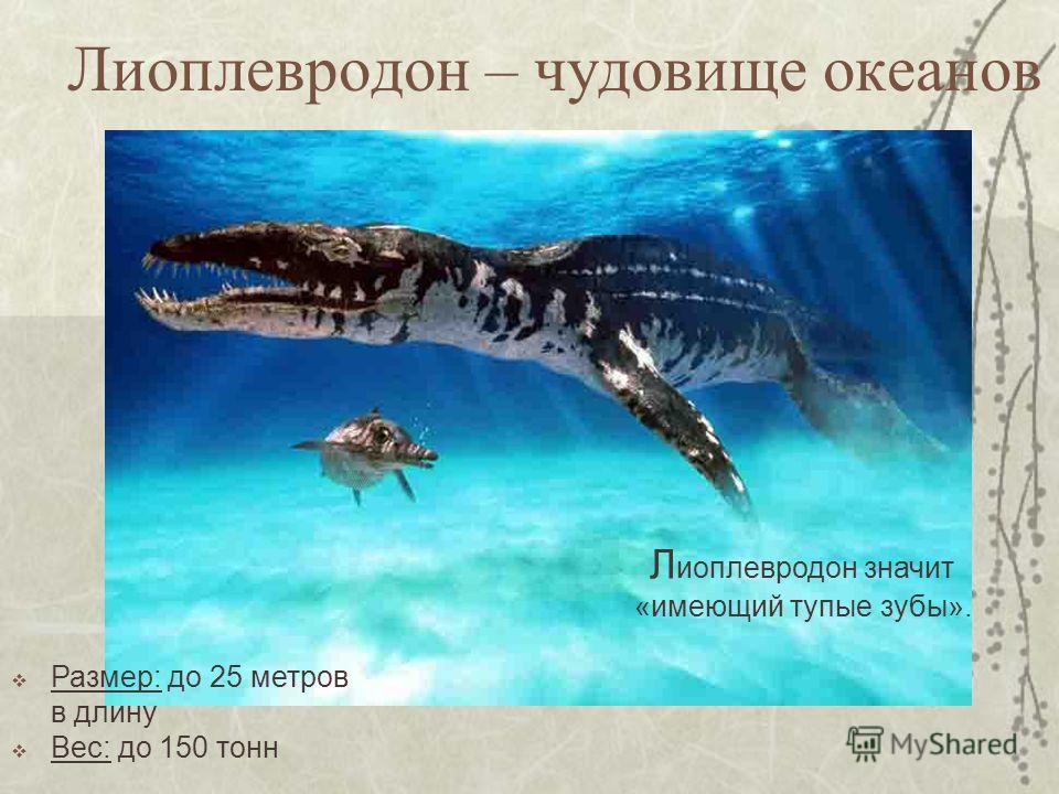 Лиоплевродон – чудовище океанов Л иоплевродон значит «имеющий тупые зубы». Размер: до 25 метров в длину Вес: до 150 тонн