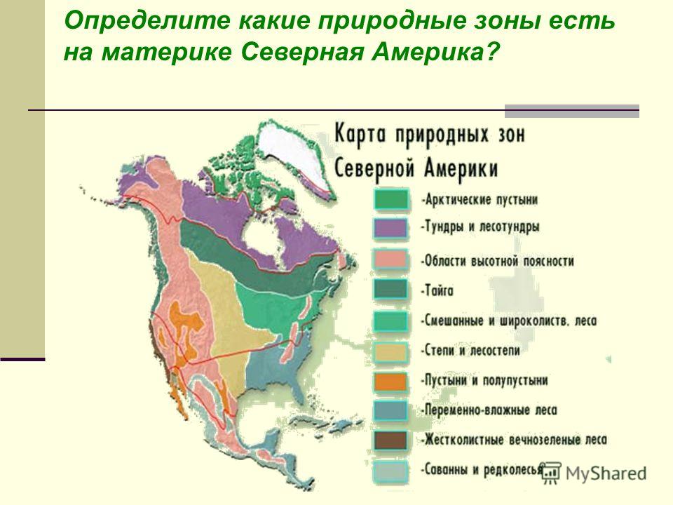 Определите какие природные зоны есть на материке Северная Америка?