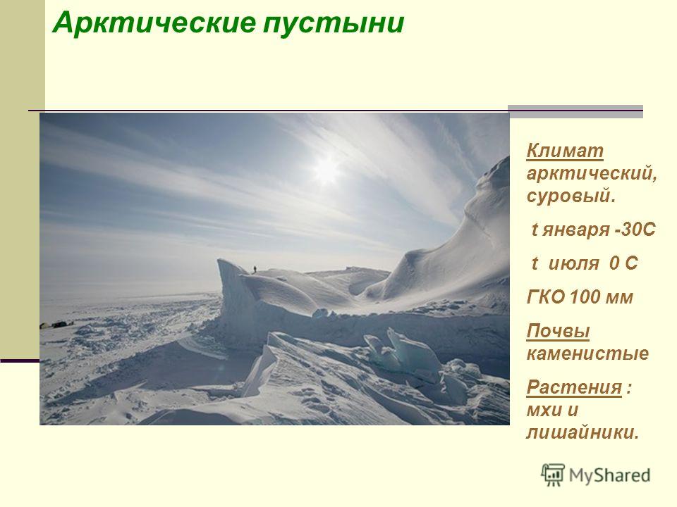 Арктические пустыни Климат арктический, суровый. t января -30С t июля 0 С ГКО 100 мм Почвы каменистые Растения : мхи и лишайники.