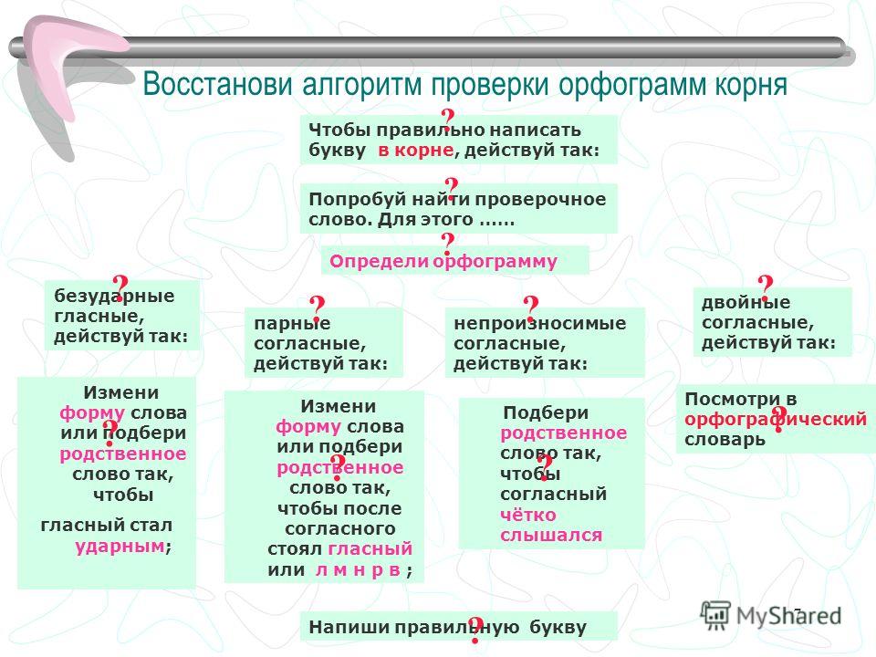 Орфограммы русского языка первый класс